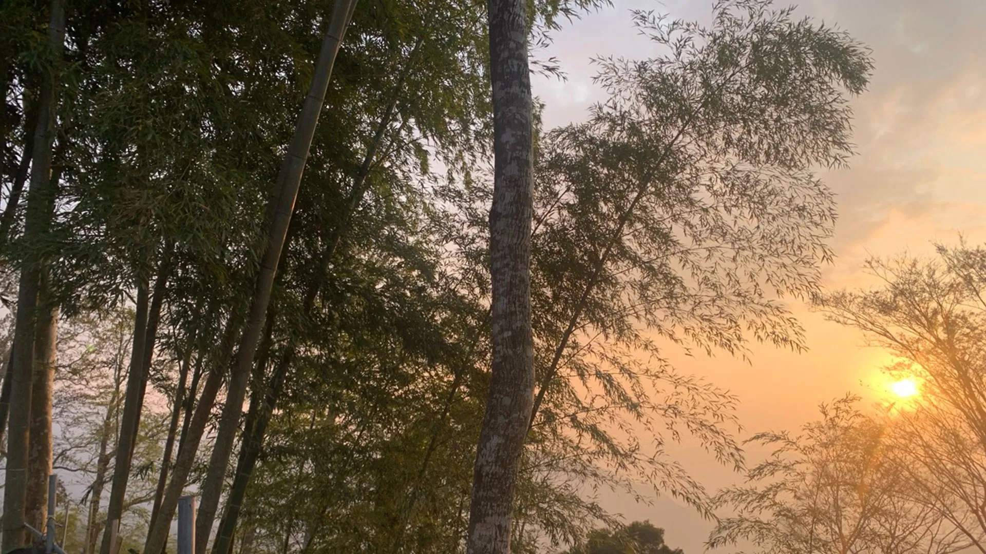 ⛺ 苗栗泰安露營｜高熊卡山語林露營區